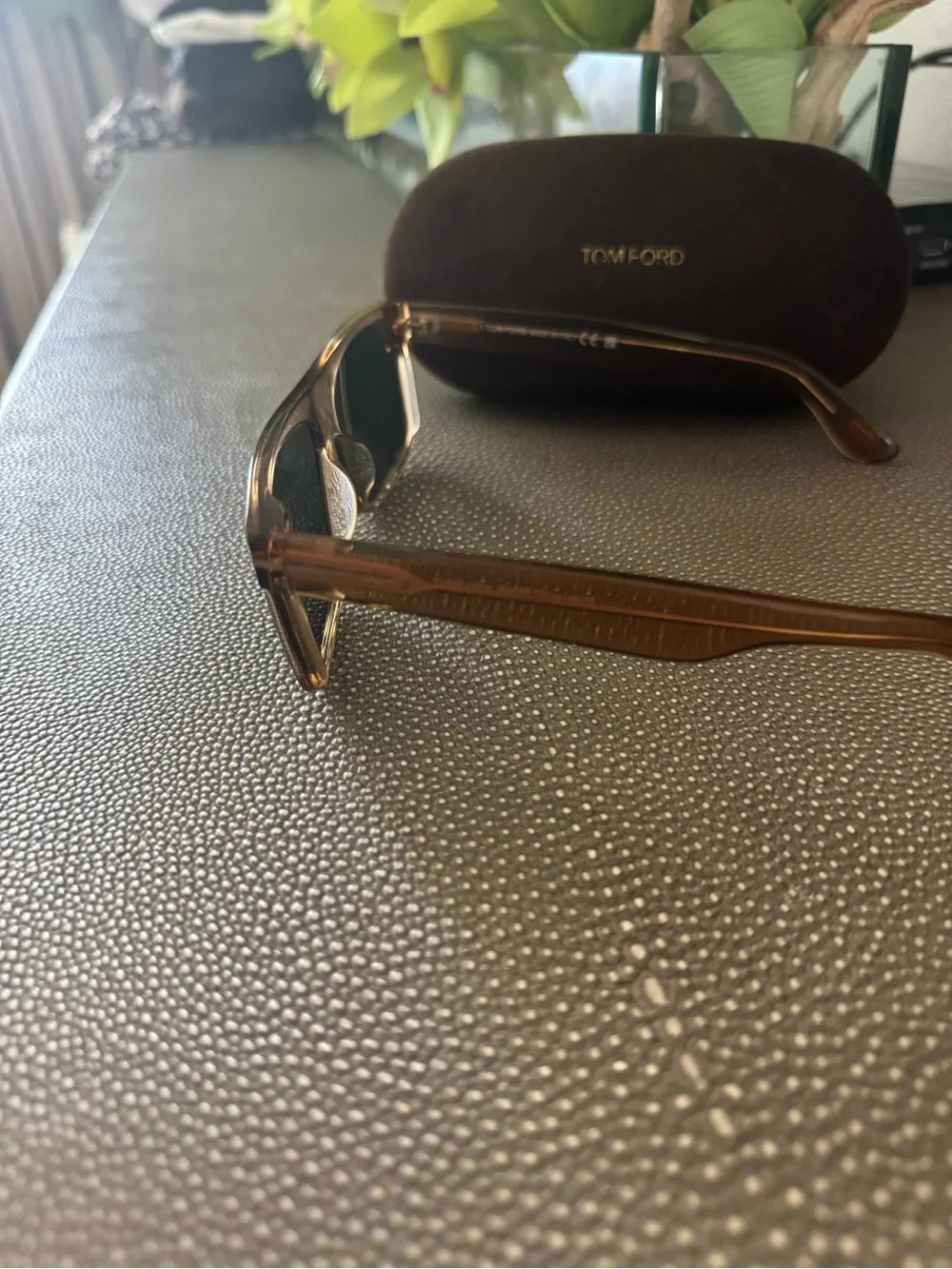 Tom Ford Amber Brown Transparent Rectangular Sunglasses with Dark Lenses